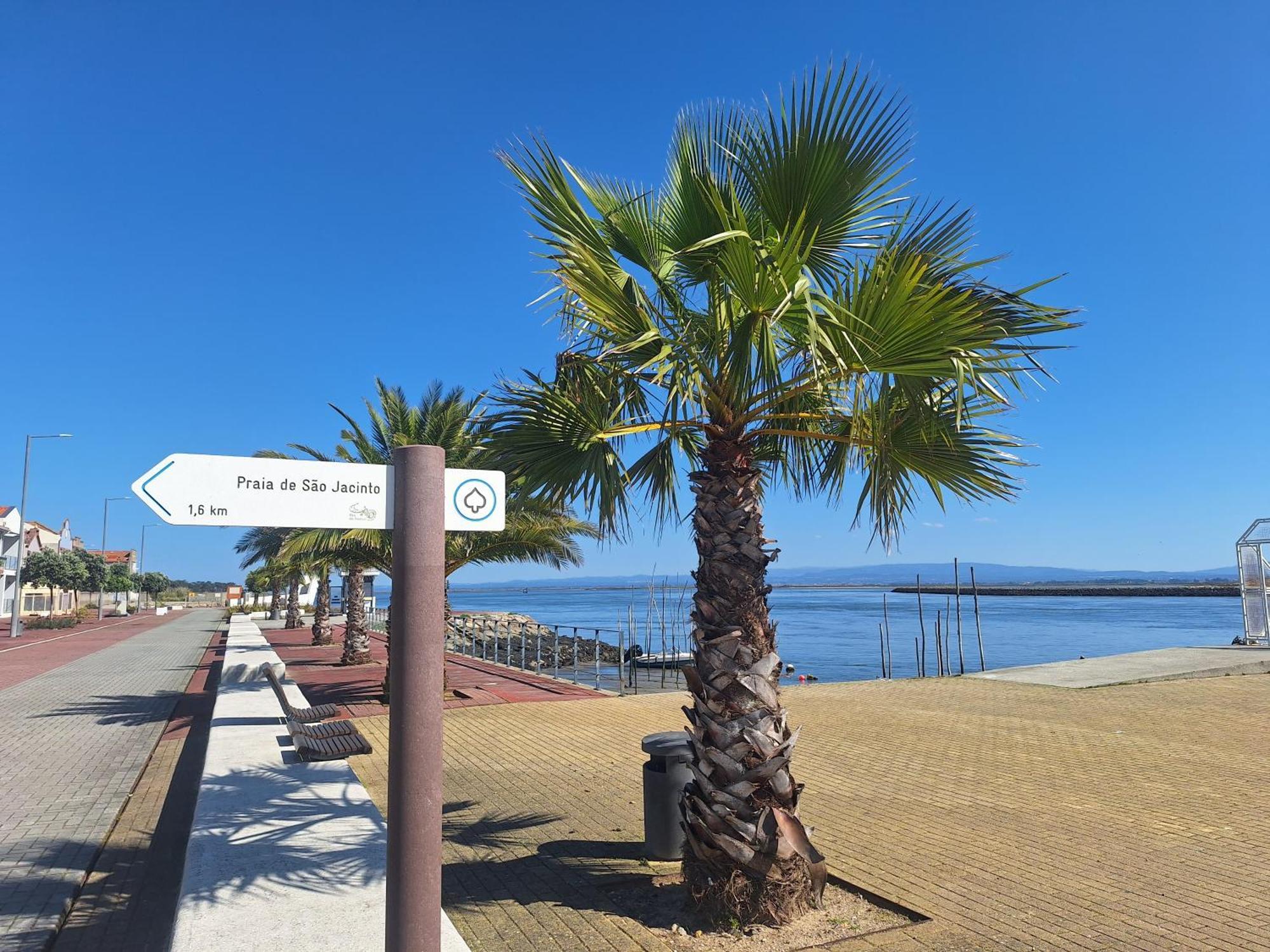 Apartment Close To The Ria De Aveiro, Sao Jacinto Kültér fotó