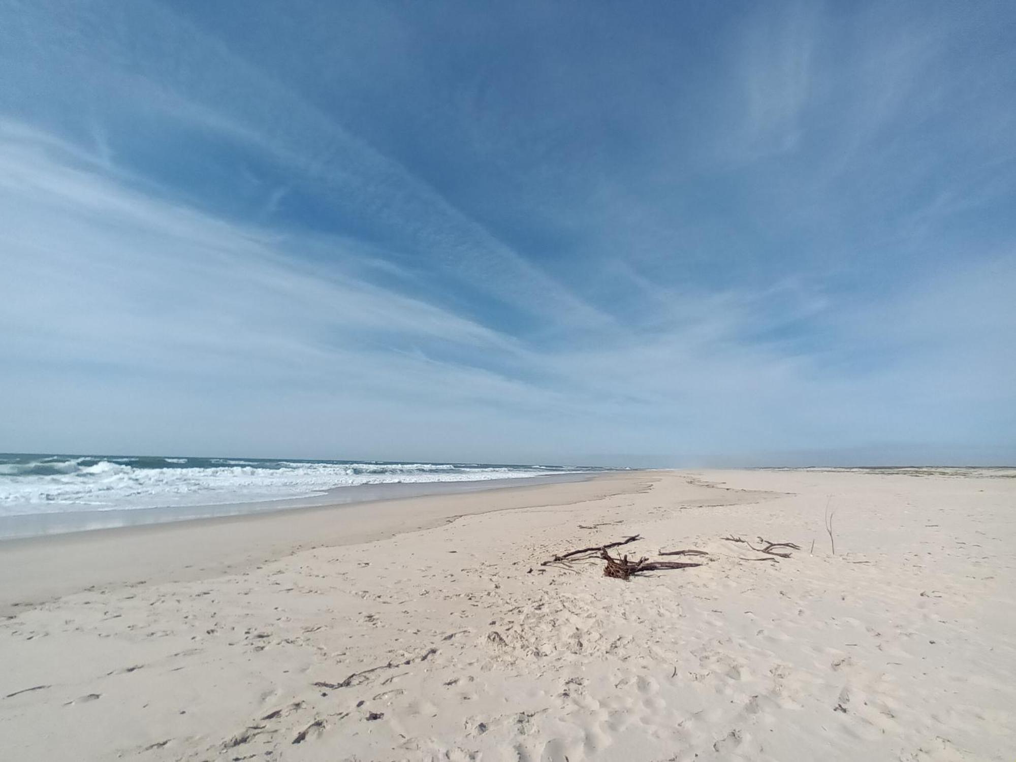Apartment Close To The Ria De Aveiro, Sao Jacinto Kültér fotó